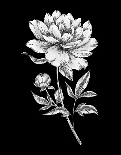 Цветок 040 (пион)