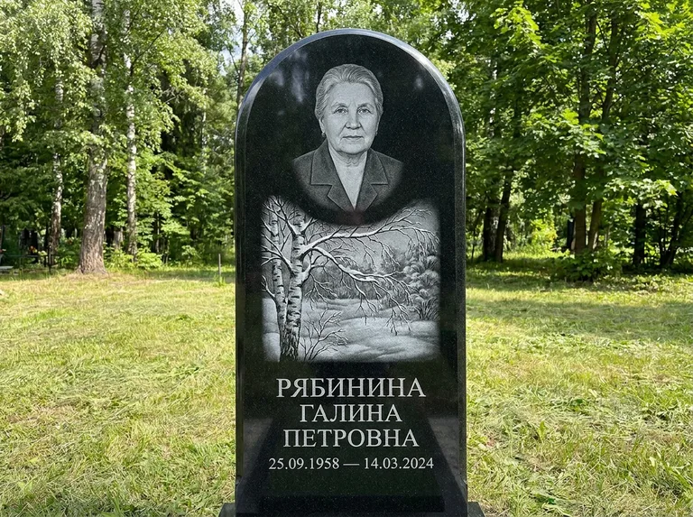 Памятник с гравировкой берёзы: стела с плавным арочным верхом — зимняя берёза, снег на ветвях, газон без ограды, стриженая трава, работа «Рябинина» в Краснодаре