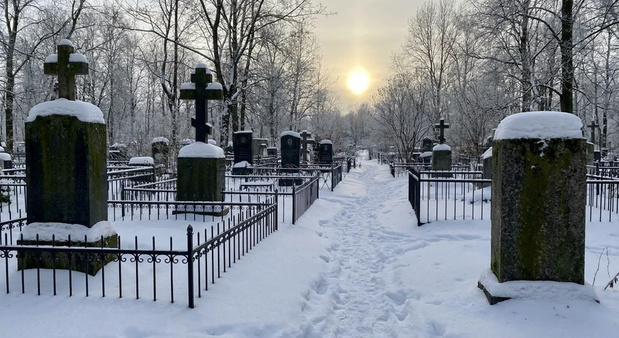03-fevralskoe-kladbische-v-snegu.png